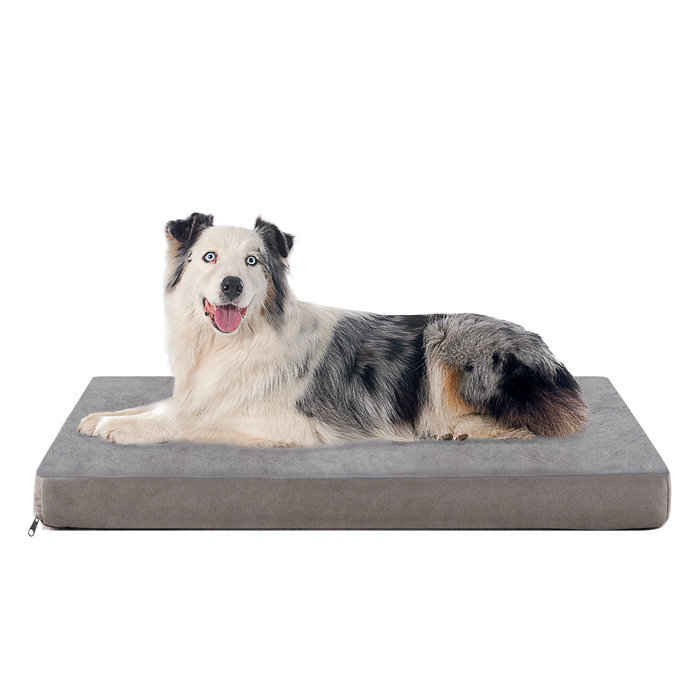 Tucker Murphy Pet™ Orthopedic Memory Foam Dog Bed, Cooling Dog Beds